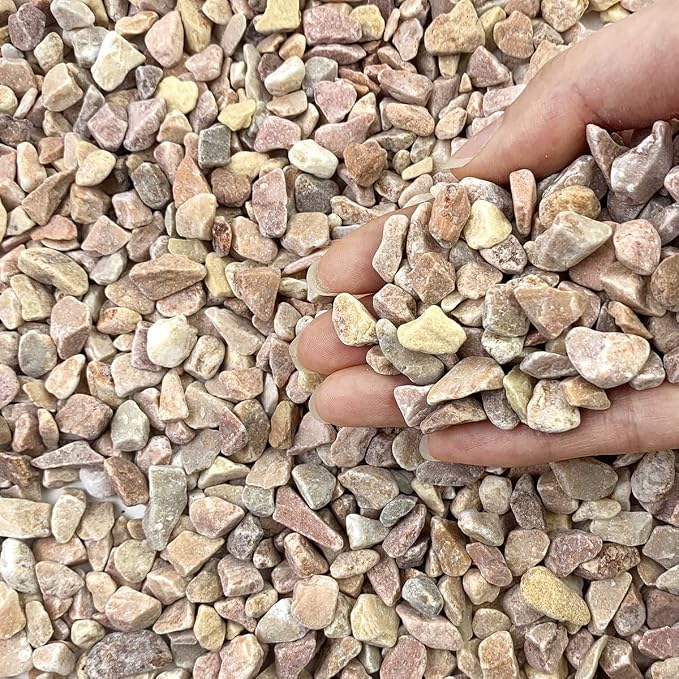 FANTIAN 5lbs Natural Pea Gravel Pebbles, 3/8 Inch Decorative Succulent Rocks by FANTIAN-GardeningMakesLifeBetter