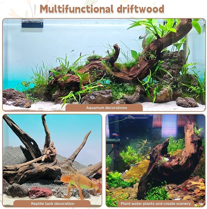 PINVNBY Large Driftwood for Aquarium Fish Tank Decorations Natural Assorted - Image 3