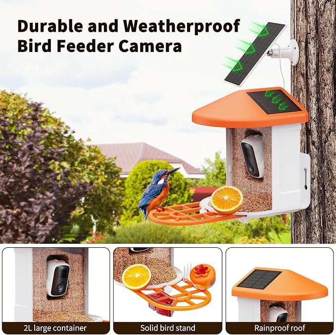 HARYMOR Bird Feeder with Camera | AI Identify Birds Species, Solar Powered - Image 3