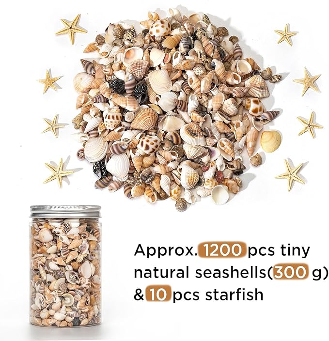 1200 PCS Natural Seashells, Joyfulmap Tiny sea Shells & Small Starfish - Image 2