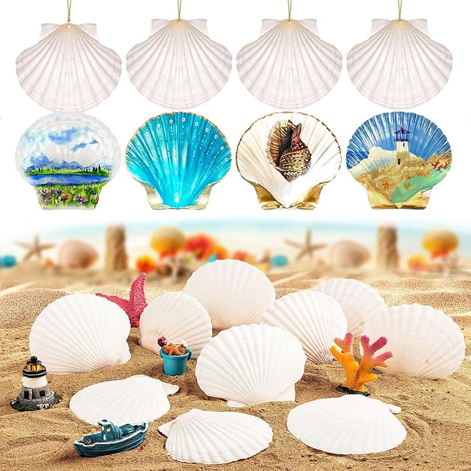 30PCS Natural Scallop Shells 2.3''-3'' White Sea Shells - Image 4