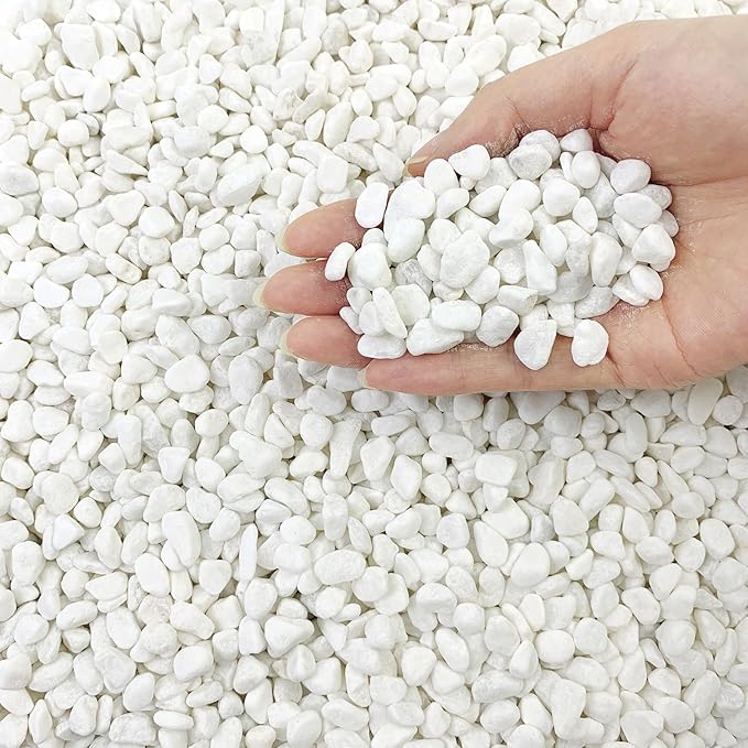 FANTIAN 10LB Natural Succulent Gravel Decorative White Rocks by FANTIAN-GardeningMakesLifeBetter