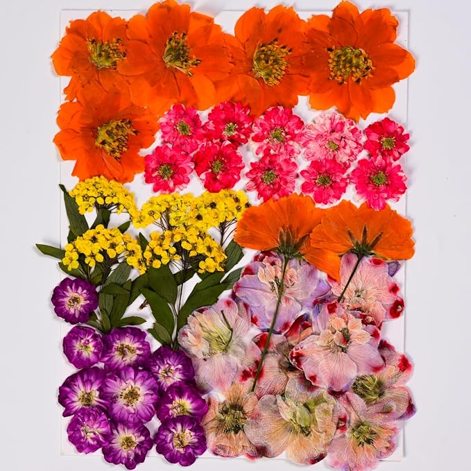 136pcs Dried Flowers for Resin, Dried Pressed Flowers for Crafts Bulk for - Image 3