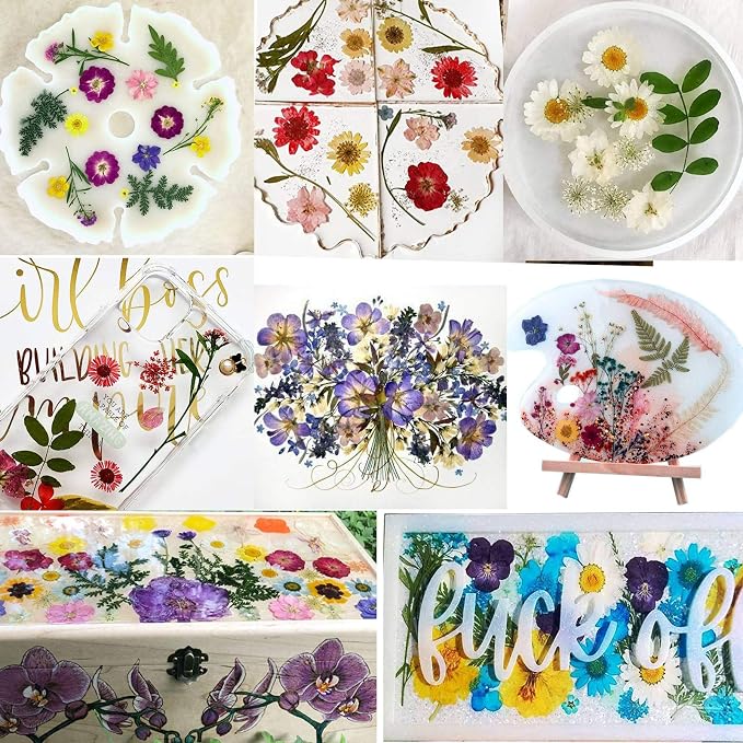 BIHRTC 100PCS Dried Pressed Leaf Flowers Natural Pressed Dry Leaves Sunflowers - Image 4