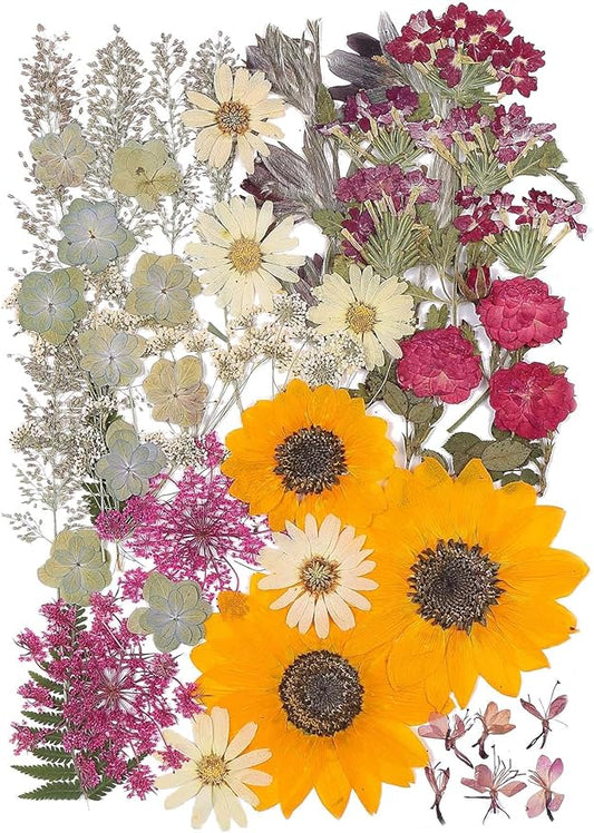 12“ Large Fall Dried Pressed Flowers by ZMRU