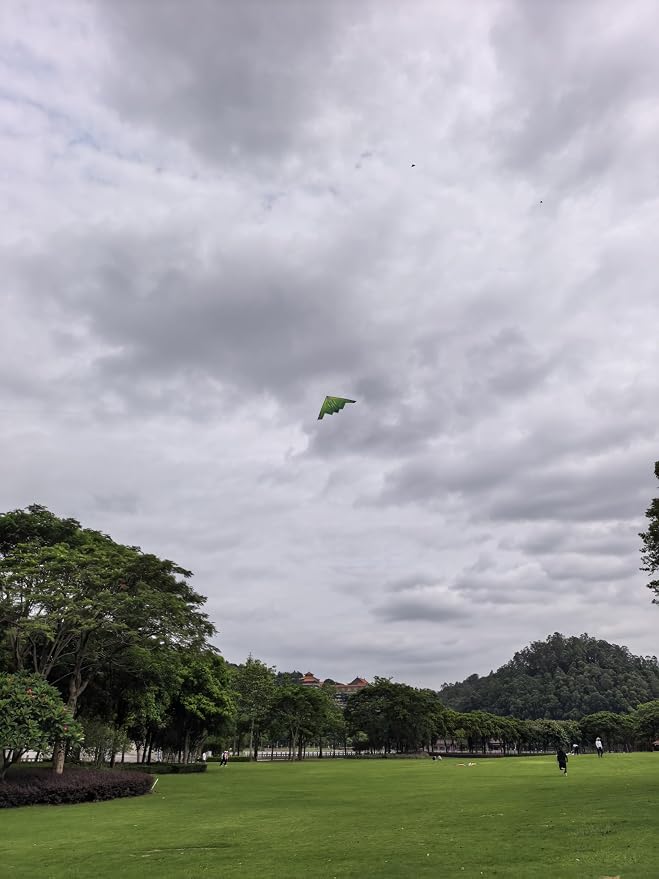 B2 Model Airplane Kite, Large Easy to Fly Kites Adults, 300FT String Reel - Image 8