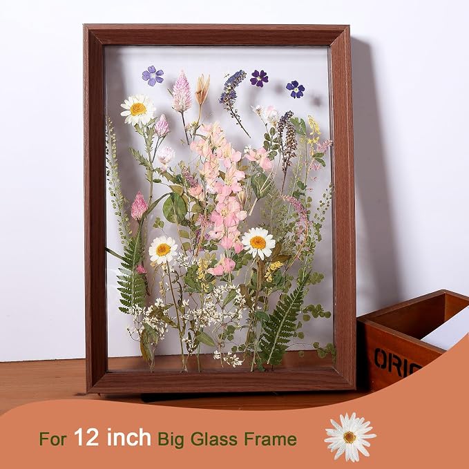 Large Dried Pressed Flowers for Art Crafts, Real Dry Natural Flower Leaf Fruit - Image 6
