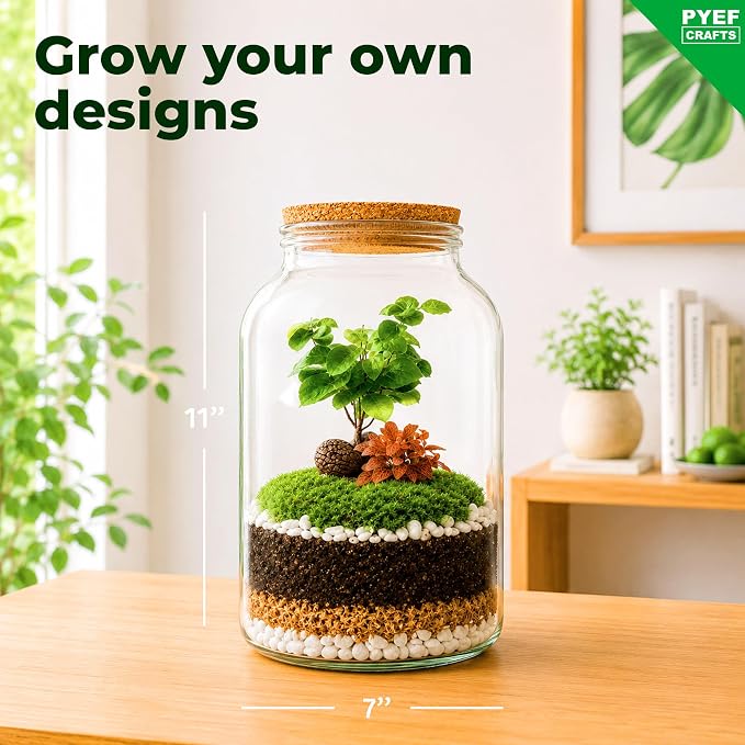 Terrarium Kit for Plants DIY | Starter Pack – Closed Ecosystem – 1 Gal Glass – - Image 4