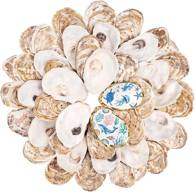 30Pcs Small Flat Oyster Shells for Crafts, 2-3 Inch Cleaned Natural Oyster by LAMIVORA