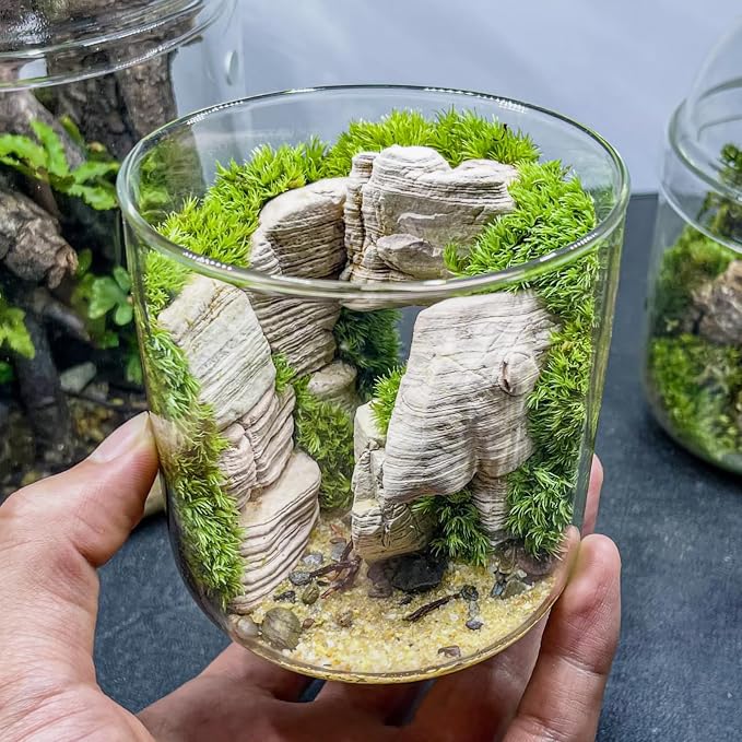 Natural Rocks Pagoda Stones 1-2.5 Inches Decorative Rocks - Image 5
