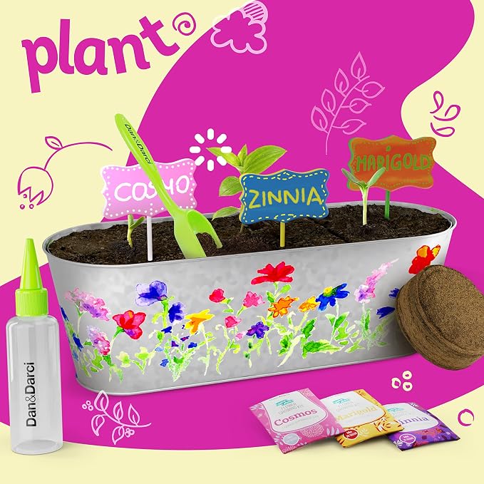 Dan&Darci Paint & Plant Flower Growing Kit - Image 4