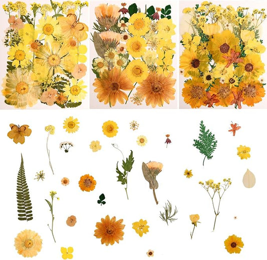 100 PCS Yellow Pressed Dried Flowers and Leaves by Cokosing