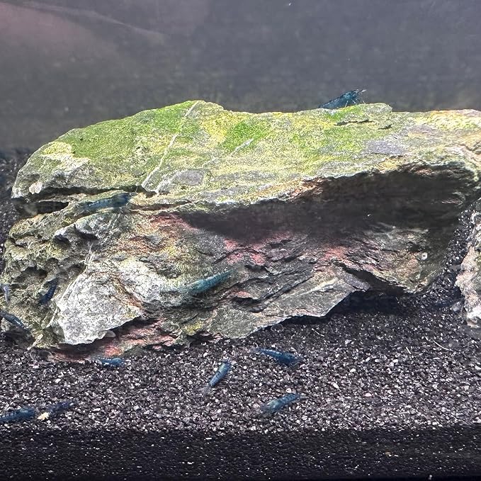 YISZM Aquarium Sand, 2lbs Black Fish Tank Sand, Aquarium Gravel Substrate - Image 3