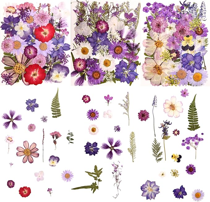 100 PCS Purple Pressed Dried Flowers and Leaves by Cokosing