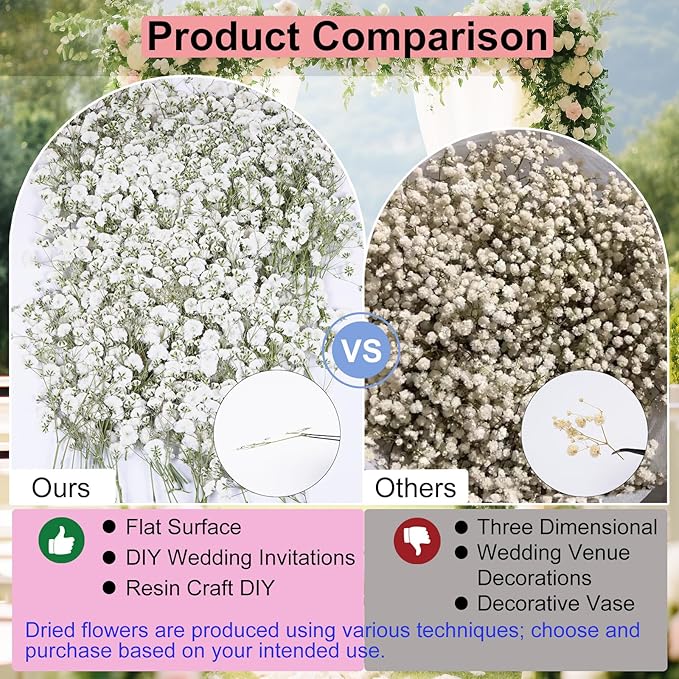 100Pcs White Babys Breath Dried Pressed Flowers - Image 4