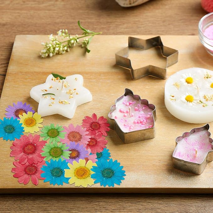 Nuanchu 84 Pcs Pressed Flowers Real Dried Daisies Colorful Pressed Daisy - Image 4