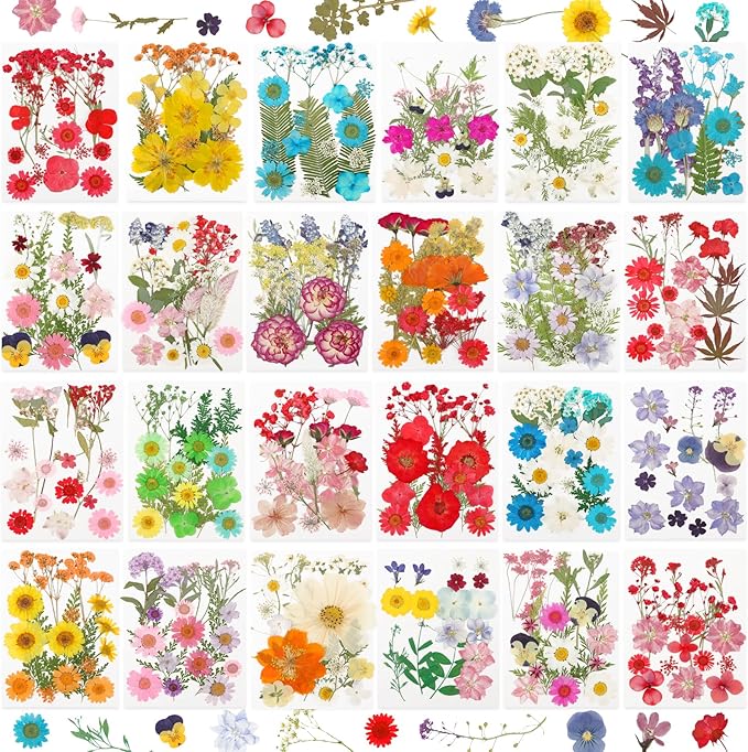 NESCCI 428 Pcs Dried Pressed Flowers by NESCCI