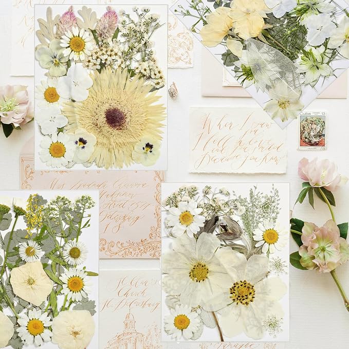 Dried Flowers for Resin | Vacuum Packed DIY Pressed Flowers for Epoxy, Nail - Image 4