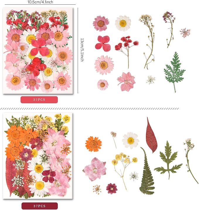 330PCS Natural Color Pressed Dried Flowers - Image 3