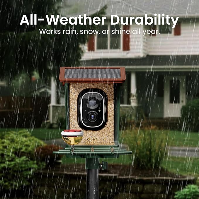 Smart Bird Feeder with Camera Solar Powered 2K HD Video, 000+ Species AI - Image 8