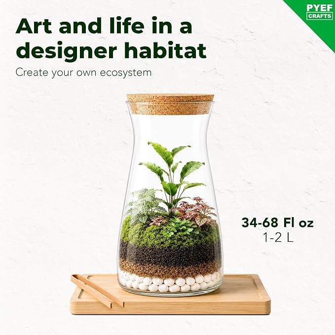 Terrarium Kit, Succulents & Indoor Plants Set DIY | Starter Pack - Image 2