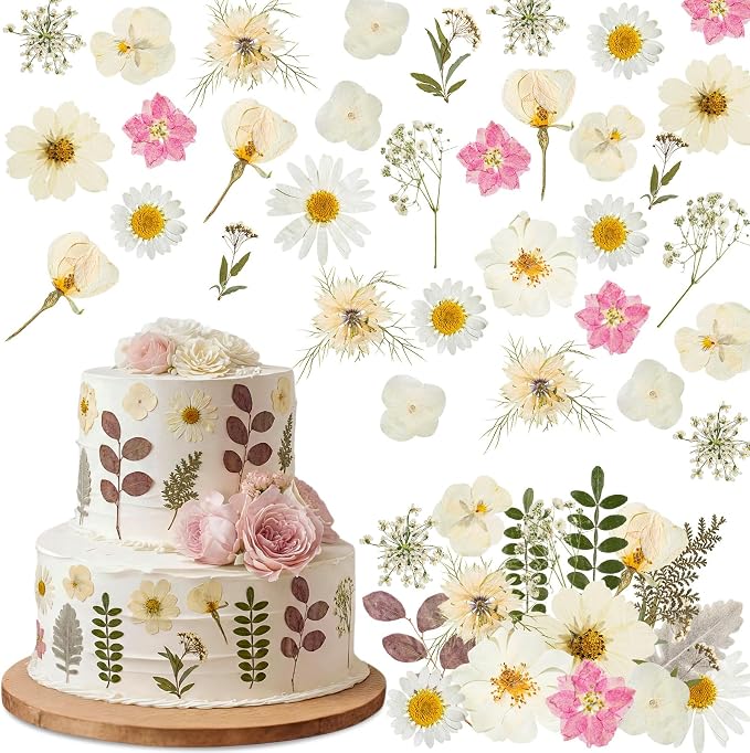 96 Pcs Natural Dried Pressed Flowers by Unknown
