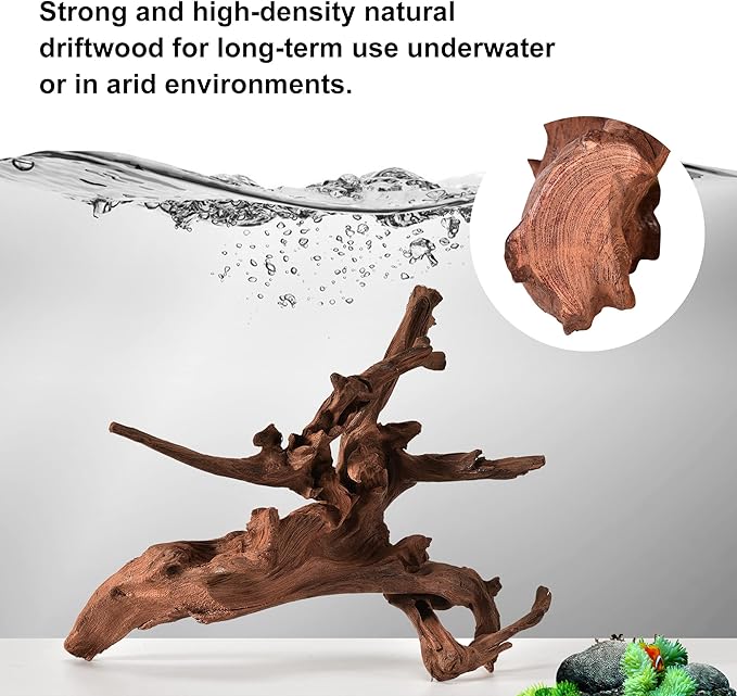 majoywoo Natural Coral Driftwood - Image 3
