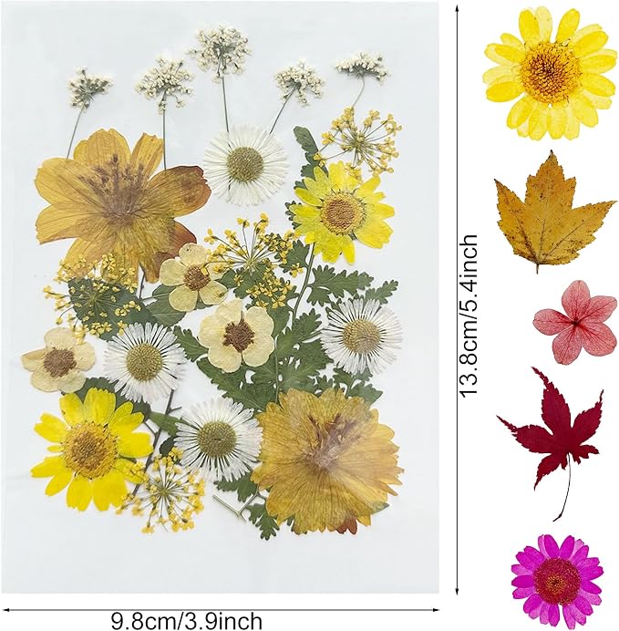 Woohome 91 PCS Natural Dried Pressed Flowers and Leaves - Image 4