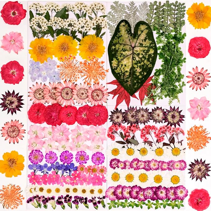 Dried Pressed Flowers for Crafts Bulk, Dried Flowers for Resin, Scrapbooking by WXQX