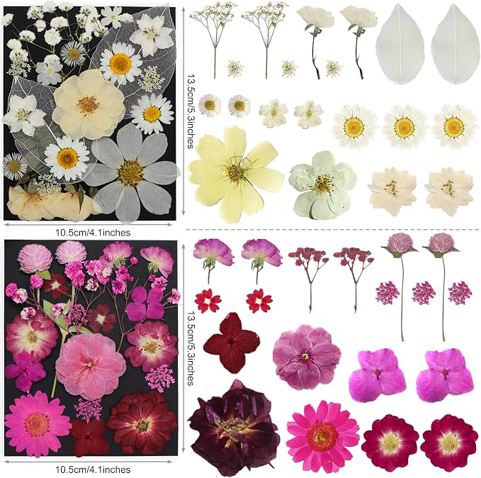 285Pcs 9 Packs Mixed Types Real Natural Dried Pressed Flowers & Leaves - Image 4