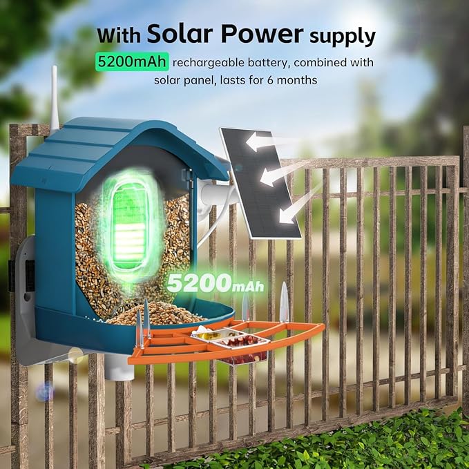 Bird Feeder with Camera, AI Bird Identification, Full HD Live Video, Solar - Image 4