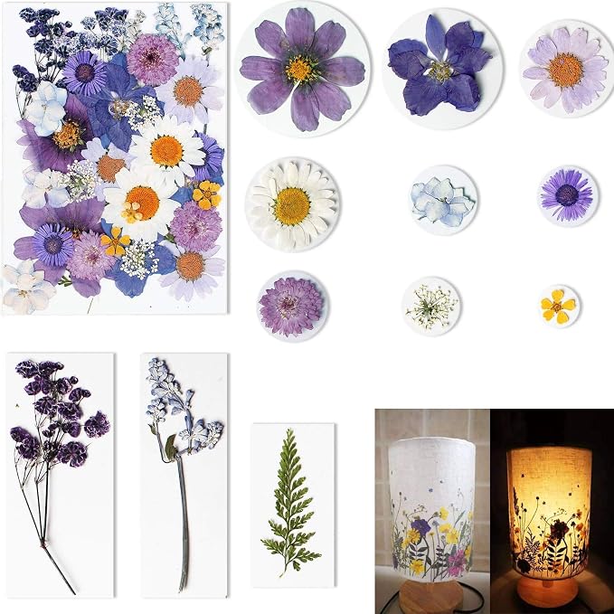 BIHRTC 100PCS Dried Pressed Leaf Flowers Natural Pressed Dry Leaves Sunflowers - Image 3