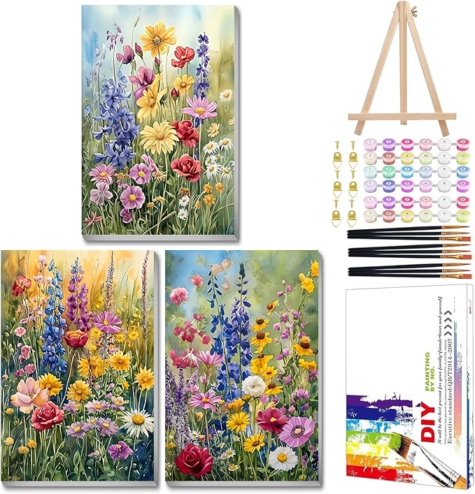 Mandun 3 Pack Paint by Numbers Kit by MANDUN