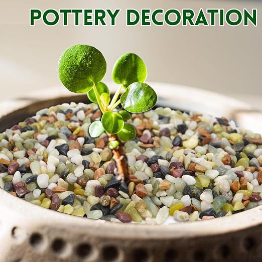 2.2 lb Pebbles for Indoor Plants, 3/8 Inch Decorative Rocks for Potted Plants - Image 4
