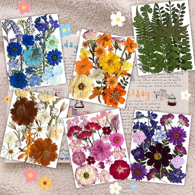 120Pcs Multi-Style Dried Pressed Flowers & Leaves - Image 2