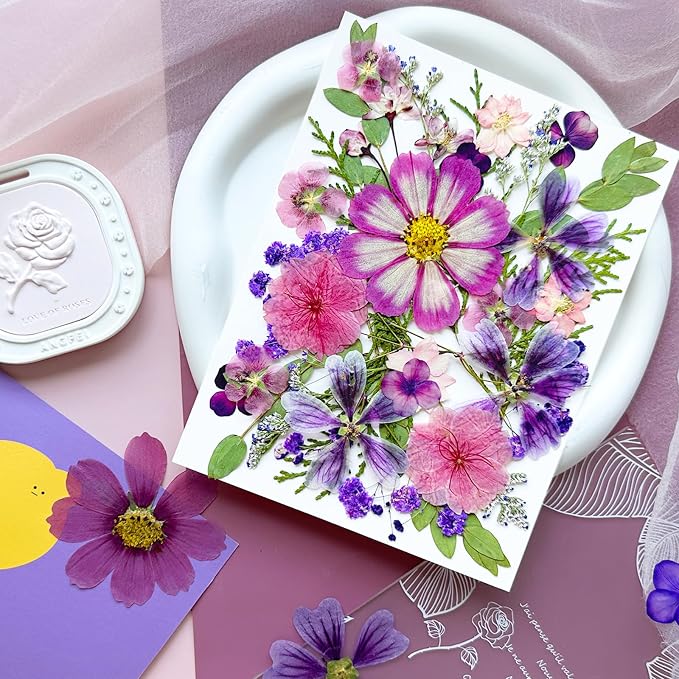 35Pcs Purple Pressed Dried Flowers - Image 4