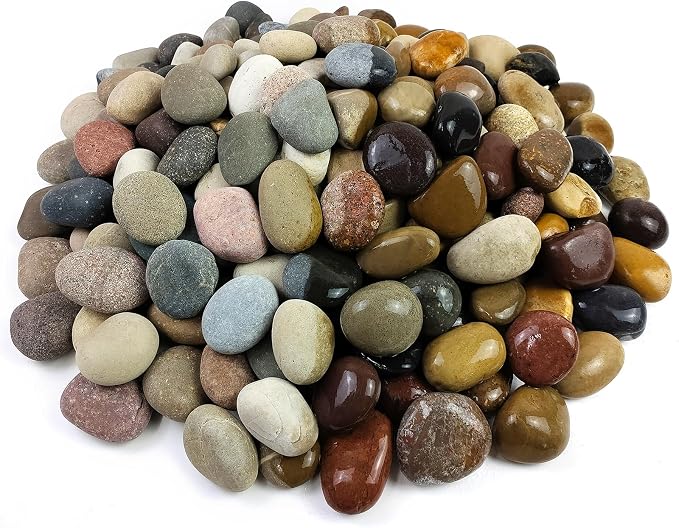 FANTIAN 5 lbs Pebbles for Plants, 1-2 Inch Decorative River Rocks for Plants - Image 3