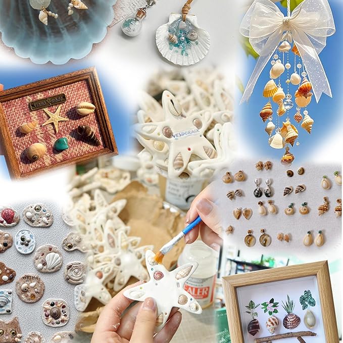 2000 PCS 12 Kinds of Tiny Sea Shells - Image 4