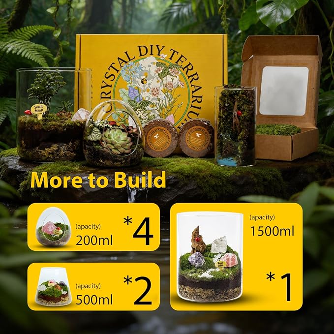 DIY Crystal Terrarium Kit - Image 7