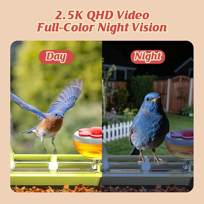 Smart Bird Feeder with Camera Outdoor: 2K Wild Bird Watching Video Cam - Image 4