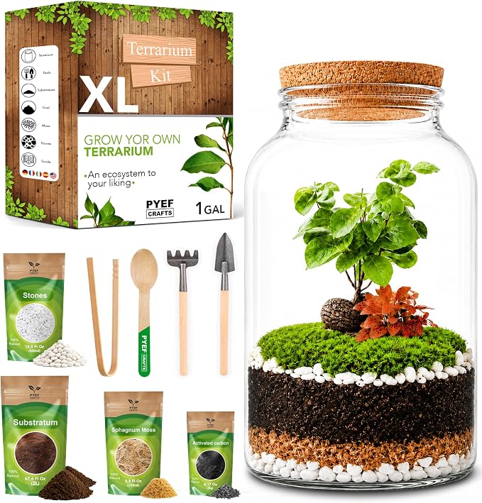 Terrarium Kit for Plants DIY | Starter Pack – Closed Ecosystem – 1 Gal Glass – by PYEFCRAFTS