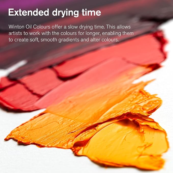 Winsor & Newton Winton Oil Color, 200ml Tube, Sap Green - Image 7