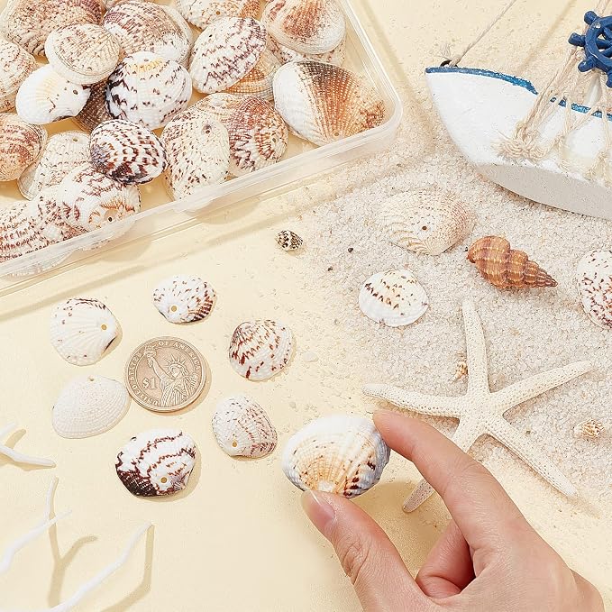 PH PandaHall 40~50pcs Tiny Scallop Sea Shells 24~29mm Ocean Beach Clam Craft - Image 8
