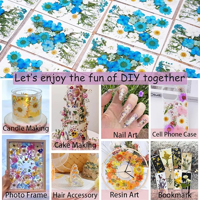141Pcs Dried Pressed Flowers for Crafts, Xinxinran Dry Flower Kit for Resin - Image 5