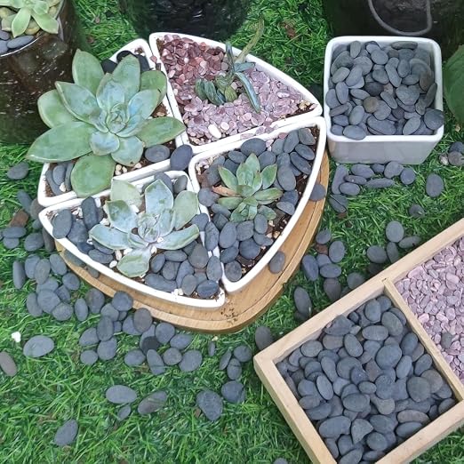 45lb River Rocks Pebbles for Plants & Succulents, Decorative Outdoor - Image 7