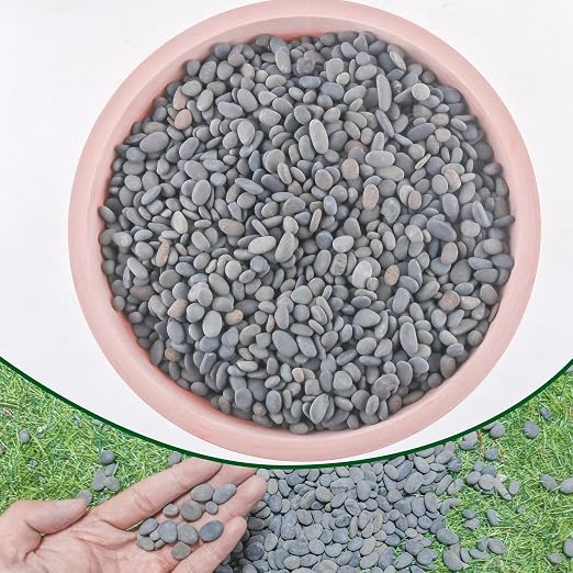 2.4lb River Rocks Pebbles for Plants & Succulents, Decorative Outdoor by CJGQ