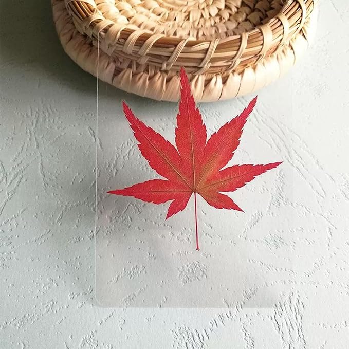 Woohome 91 PCS Natural Dried Pressed Flowers and Leaves - Image 8