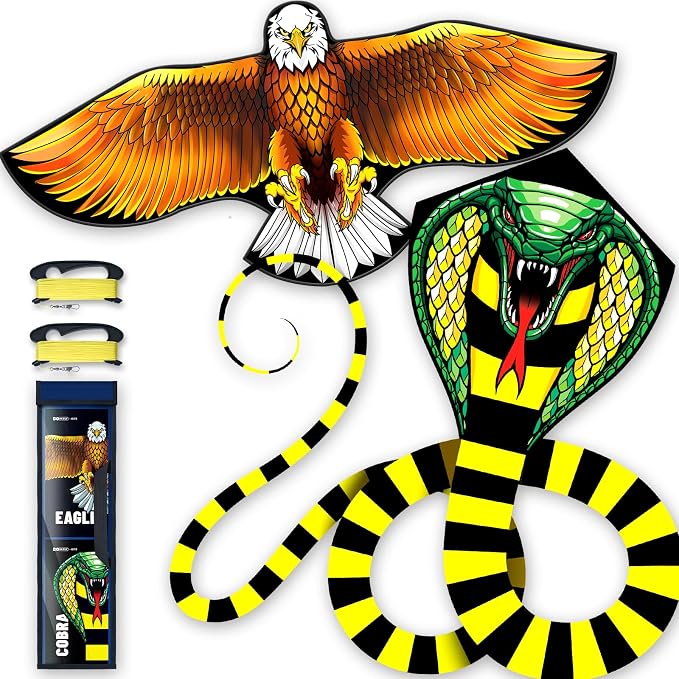 Kite for Ages 8-12, Single Line String Professional Kites for Beach and Outdoor by DoinFly