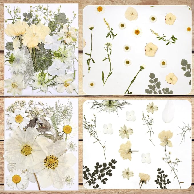 Dried Flowers for Resin | Vacuum Packed DIY Pressed Flowers for Epoxy, Nail - Image 2