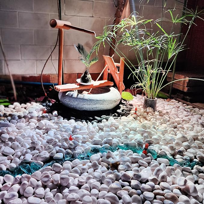 FANTIAN 5 lbs White Pebbles for Indoor Plants, 1-2 Inch Small White River Rocks - Image 5
